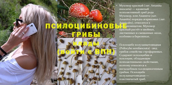 индика Верхнеуральск