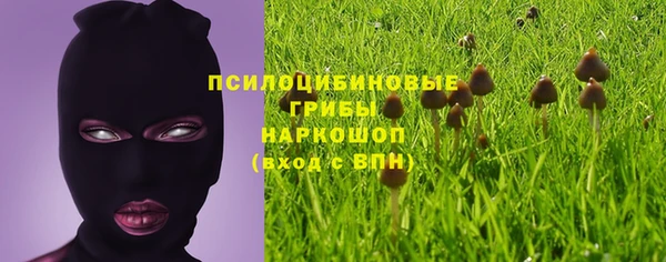 дмт Россошь